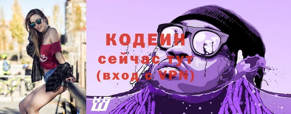 кокс Богородицк